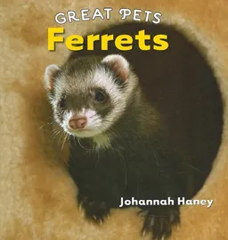 Ferrets (Great Pets)