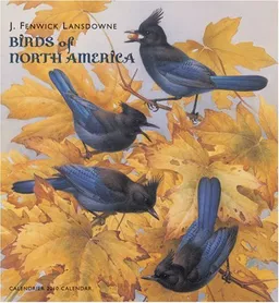 Birds of North America 2010 Calendar