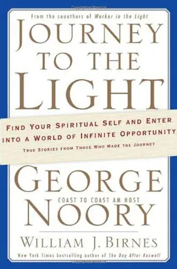 Journey to the Light: Find your Spiritual Self and Enter into a World of Infinite Opportunity True Stories from those who made the Journey