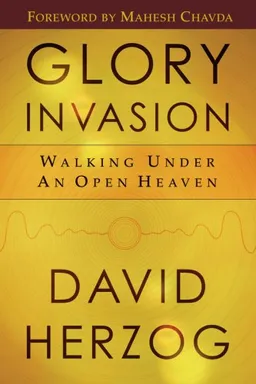 עטיפת הספר Glory Invasion מאת David Herzog