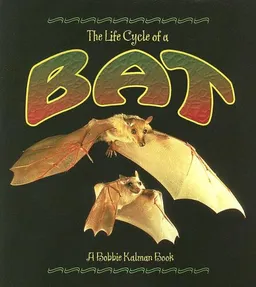 The Life Cycle of a Bat
