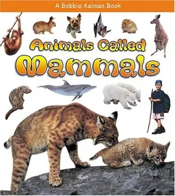 עטיפת הספר Animals Called Mammals (What Kind of Animal Is It?) מאת Bobbie Kalman