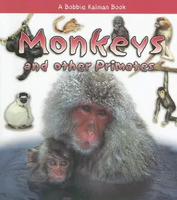 Monkeys and Other Primates (What Kind of Animal Is It?)