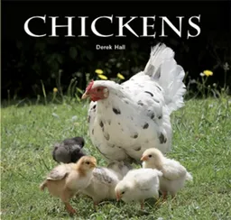 עטיפת הספר Chickens Flexi Cover With Flaps (Flexi cover series) מאת Derek Hall