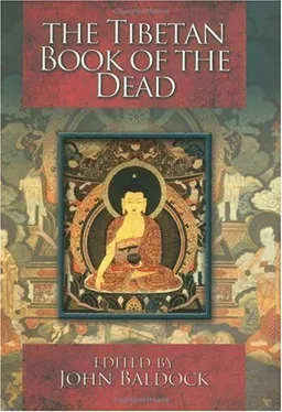 עטיפת הספר The Tibetan Book of the Dead מאת John Baldock