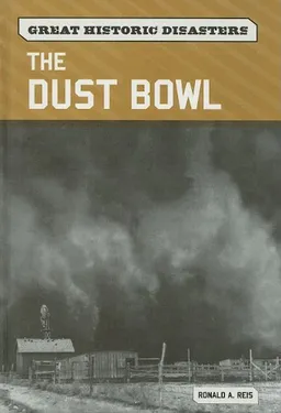 The Dust Bowl (Great Historic Disasters)