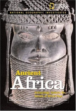 National Geographic Investigates: Ancient Africa: Archaeology Unlocks the Secrets of Africa's Past