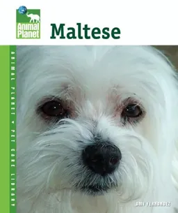 Maltese (Animal Planet Pet Care Library)