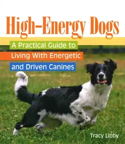 High-Energy Dogs: A Practical Guide to Living With Energetic and Driven Canines