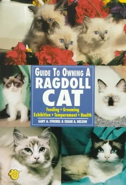 Guide to Owning a Ragdoll Cat