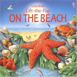 On the Beach (Usborne Lift-the-Flap)