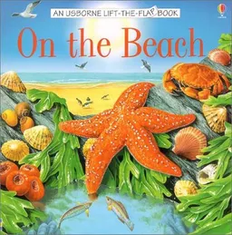 On the Beach (Usborne Life-the-Flap Book)