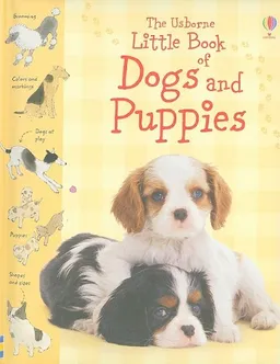 The Usborne Little Book of Dogs and Puppies