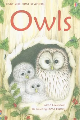 Owls (Usborne First Reading: Level 4)