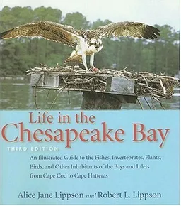 Life in the Chesapeake Bay