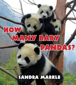עטיפת הספר How Many Baby Pandas? מאת Sandra Markle