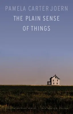 The Plain Sense of Things (Flyover Fiction)