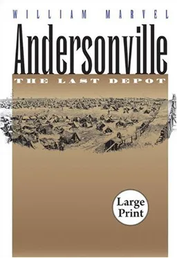 Andersonville: The Last Depot, Large Print Ed (Civil War America)