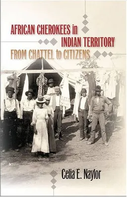 African Cherokees in Indian Territory: From Chattel to Citizens (John Hope Franklin Series in African American History and Culture)