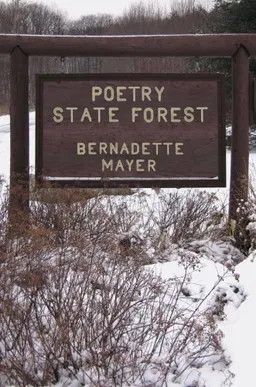 Poetry State Forest (NEW DIRECTIONS PAPERBOOK)