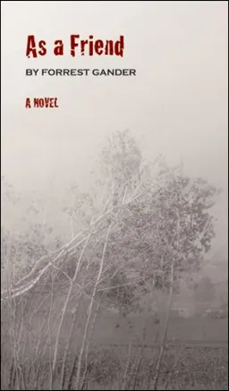 As a Friend: A Novel