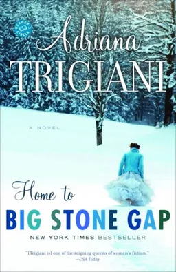 Home to Big Stone Gap: A Novel (Big Stone Gap Novels)