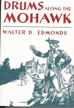 Drums Along the Mohawk (New York Classics)