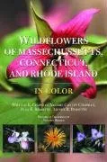Wildflowers of Massachusetts, Connecticut, and Rhode Island in Color