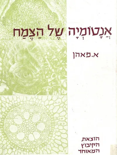 אנטומיה של הצמח