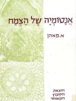 אנטומיה של הצמח