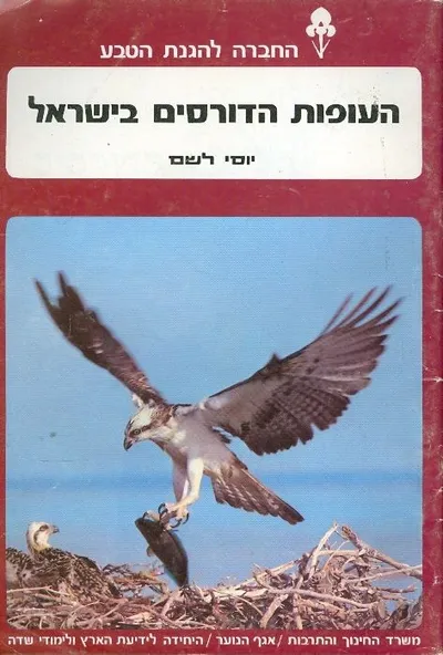 העופות הדורסים בישראל