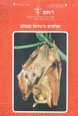 עטלפים בישראל ובעולם
