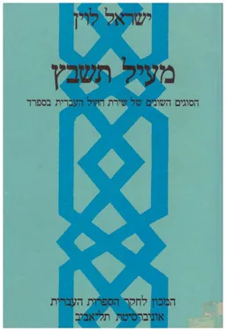 עטיפת מעיל תשבץ : הסוגים השונים של שירת החול העברית בספרד