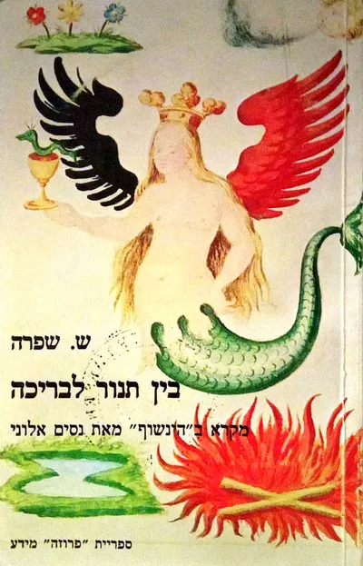 בין תנור לבריכה : מקרא בהינשוף מאת נסים אלוני