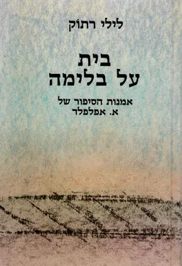 בית על בלימה