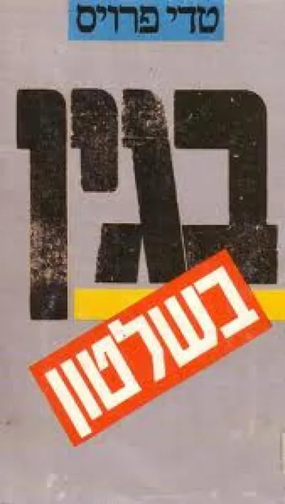 בגין בשלטון