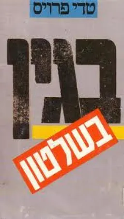 בגין בשלטון