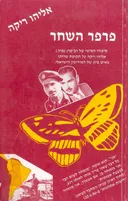פרפר השחר