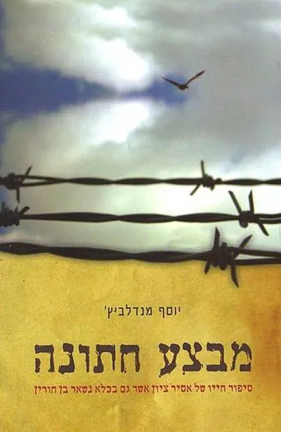 מבצע חתונה : מאבקו, מעצרו ושחרורו של אסיר ציון