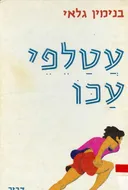 עטלפי עכו