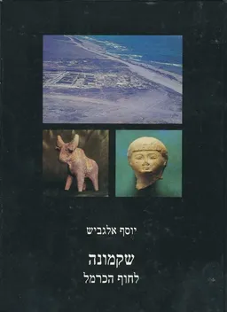 שקמונה לחוף הכרמל