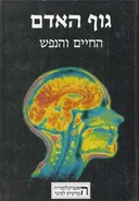 גוף האדם