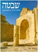 שבטה : דמותה של עיר ביזאנטית בנגב