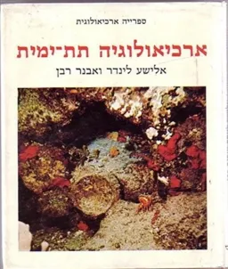 ארכיאולוגיה תת-ימית
