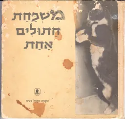 משפחת חתולים אחת