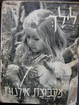 לילך מקבוצת אילנות