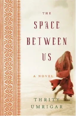 The Space Between Us LP