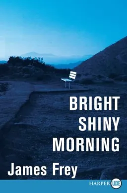 Bright Shiny Morning LP
