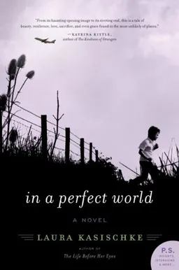 In a Perfect World: A Novel
