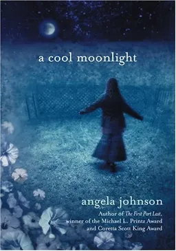 A Cool Moonlight